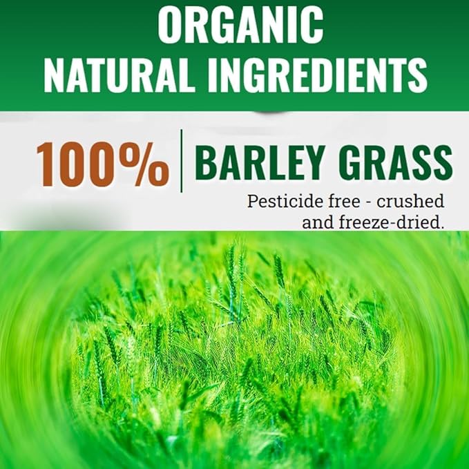 Koxuky Naveta Barley Grass Powder 100% Pure & Organic, Pure Organic Barley, Organic Barley Grass Juice Powder, All Natural Ingredients for Men and Women(20 bags/1box)